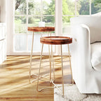 Round Accent Table with Iron and Mango Wood Tray Top