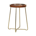 Round Accent Table with Iron and Mango Wood Tray Top
