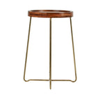 Round Accent Table with Iron and Mango Wood Tray Top
