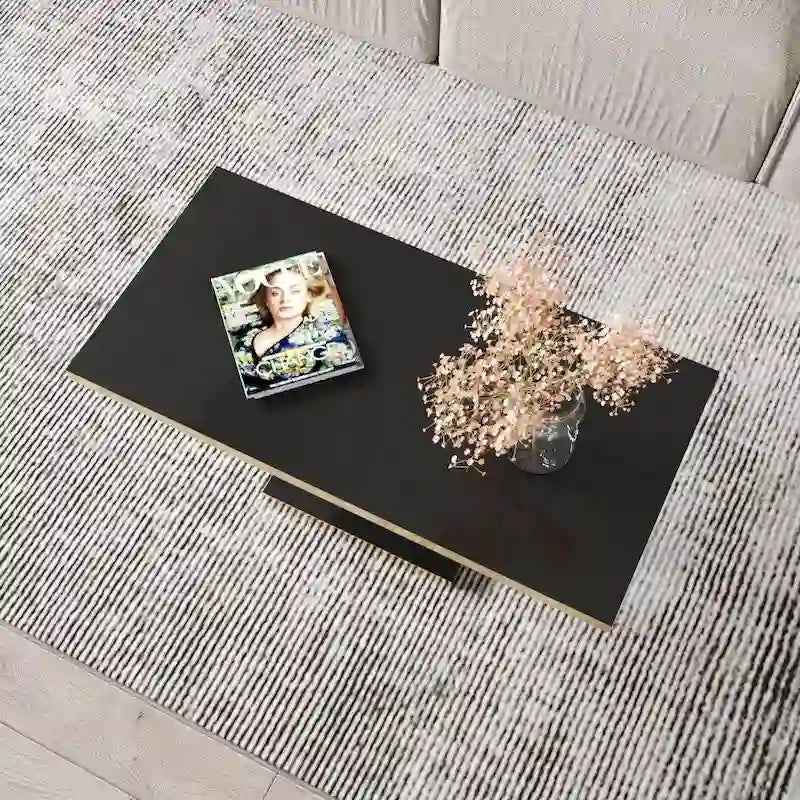 High Gloss Coffee Table