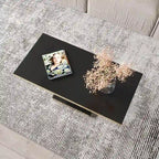 High Gloss Coffee Table