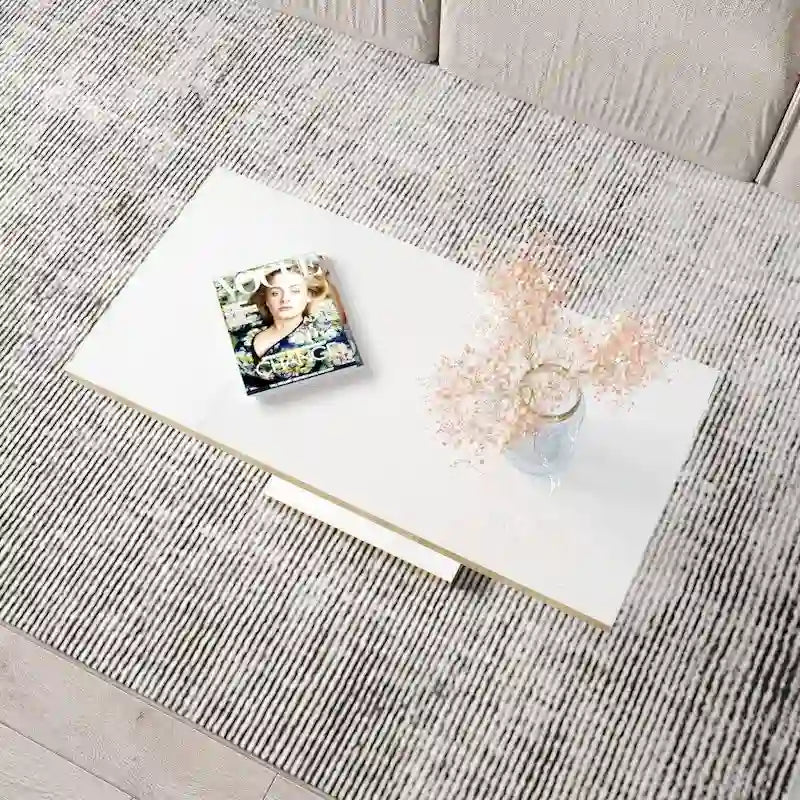High Gloss Coffee Table