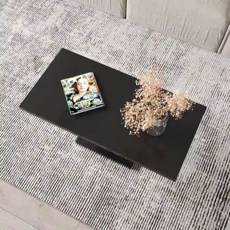 High Gloss Coffee Table