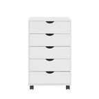 5-Drawer Storage Cabinet with Wheels