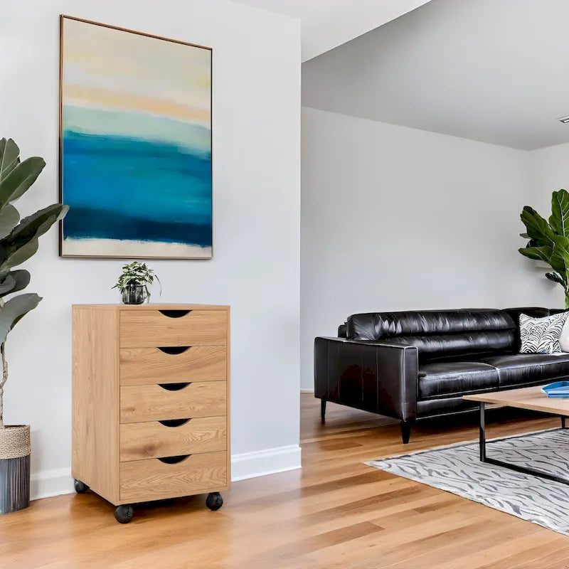 5-Drawer Storage Cabinet with Wheels