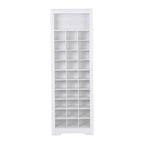 Contemporary Shoe Cabinet with Multiple Storage Capacity